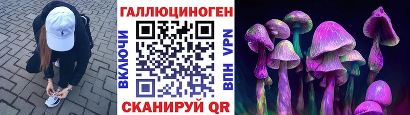 Галлюциногенные грибы Psilocybe Нягань